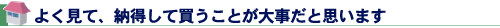 よく見て、納得して買うことが大事だと思います