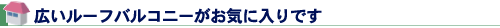 広いルーフバルコニーがお気に入りです