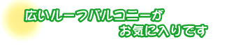 広いルーフバルコニーがお気に入りです。秋元さんファミリー