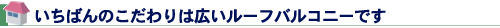 いちばんのこだわりは広いルーフバルコニーです