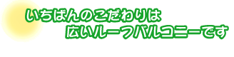 いちばんのこだわりは広いルーフバルコニーです。畔見さんご夫婦
