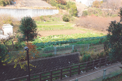 共用廊下側からの緑豊かな眺め。手前は小さな川の流れに沿って整備された遊歩道