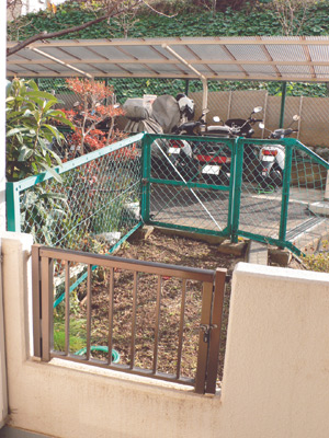 フェンス内が出崎さんの専用庭。これから緑を植えたいとのこと