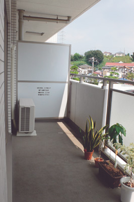 東南向きで日当たりの良いベランダ。奥さまはここでいろいろな植物を育てたいのだそう