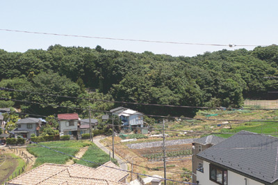 2階の窓からは福光さんこだわりの緑豊かな風景が見渡せる