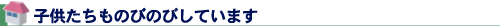 子供たちものびのびしています