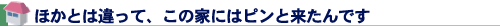 ほかとは違って、この家にはピンと来たんです
