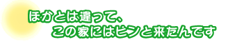 ほかとは違って、この家にはピンと来たんです。長谷川さんファミリー