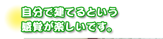 自分で建てるという感覚が楽しいです。平石さんファミリー