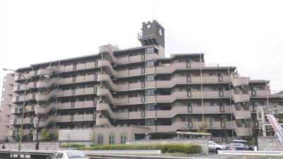 総戸数66戸、7階建ての大きなマンションが市川さんのお住まい