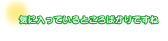 気に入っているところばかりですね。加賀谷さんファミリー