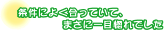 条件によく合っていて、まさに一目惚れでした。金成さんご夫婦