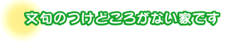 文句のつけどころがない家です。川上さんご夫婦