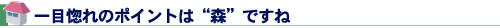 一目惚れのポイントは“森”ですね