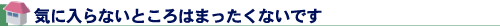 気に入らないところはまったくないです