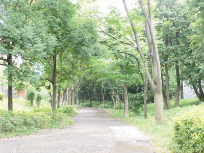 マンションの敷地のすぐ外にも、緑豊かな遊歩道が整備されている