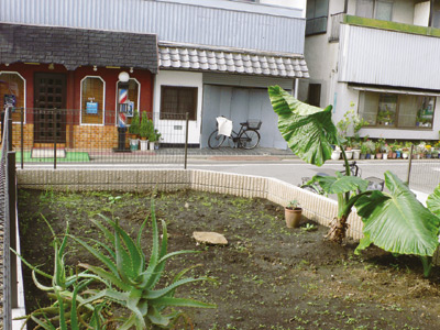 これからが楽しみな、広く日当たりの良いお庭。写真右の大きな葉っぱはお２人が植えたクワズイモ