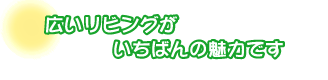 広いリビングがいちばんの魅力です。喜綿さんファミリー
