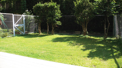 マンションとは思えないほど広々とした芝生のお庭。南向きで日当たりも最高