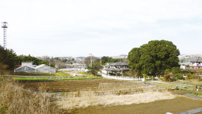 ２階の窓からの眺め。近隣には畑も多く、のどかな風景が広がる