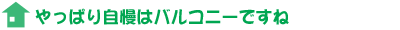 やっぱり自慢はバルコニーですね