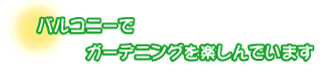 バルコニーでガーデニングを楽しんでいます。小松さんファミリー