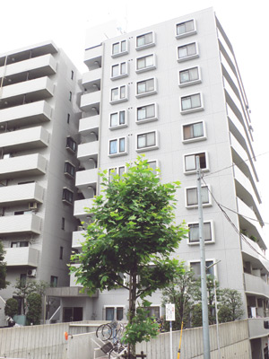 まだ新しさの感じられるマンションの外観。各階３戸、１１階建てという高さが特徴