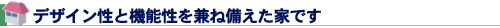 デザイン性と機能性を兼ね備えた家です