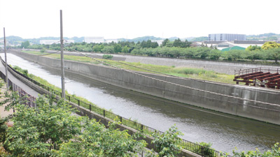 バルコニーからは隣を流れる川と桜並木、天気の良い日は遠くに富士山も見渡せる