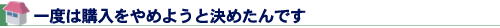 一度は購入をやめようと決めたんです