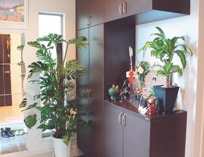 南国を思わせる小物で演出された広い玄関。白い壁に観葉植物の緑がよく栄える