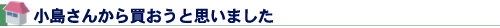 営業さんから買おうと思いました