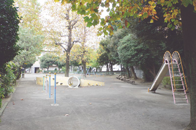 家のすぐ裏手は、お子さんも大好きだという広い公園