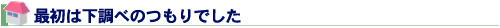 最初は下調べのつもりでした