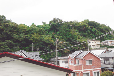 バルコニーからの眺め。高台にあるため、周囲の家に視界を邪魔されることなく豊かな緑が望める