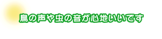 鳥の声や虫の音が心地いいです。宮本さんファンリー