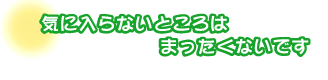 気に入らないところはまったくないです。野口さんファミリー