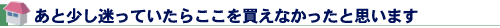あと少し迷っていたらここを買えなかったと思います