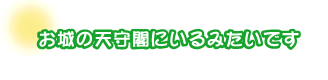 お城の天守閣にいるみたいです。小澤さんファミリー