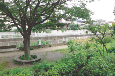 ダイ二ングの窓から見えるのは、家の東側を流れる川と緑豊かな遊歩道