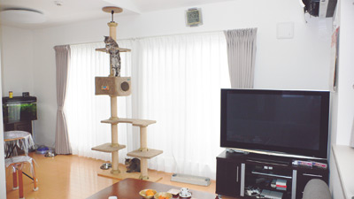 猫がゆったりとくつろぐキャットツリーを設置しても十分な広さのリビングダイ二ング