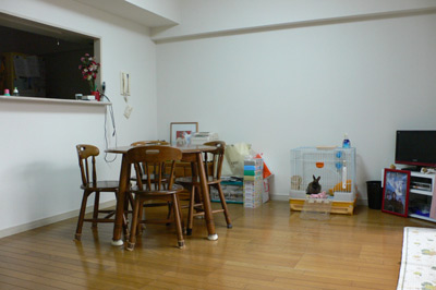 広々と使うため、あえて大きな家具を置いていないというLD。一角はペットのウサギのスペース