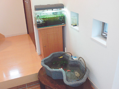 熱帯魚や金魚、エビなどが飼われている玄関脇の水槽。家の中にはこのほかにも水槽が