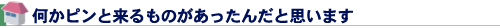 何かピンと来るものがあったんだと思います