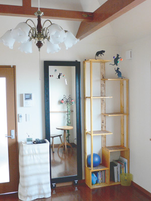 ご主人自作の猫棚。猫たちがこれをステップにして梁まで上がれるよう工夫されている