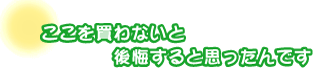 ここを買わないと後悔すると思ったんです。照井さんファミリー