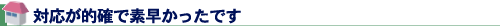 対応が的確で素早かったです