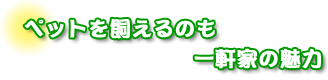 ペットを飼えるのも一軒屋の魅力　山本さんご夫婦