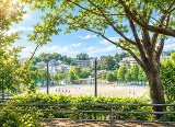 榎が丘公園170m緑に囲まれた、ゆったりとした広さの榎が丘公園。高台から榎が丘小学校を見下ろす景色も楽しめる、身近な憩いの場所です。