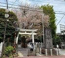 御嶽神社550m徒歩6分<br>桜の木に抱かれるように佇む御嶽神社。石造りの鳥居をくぐると街の喧騒が遠のき、静かな空気に包まれる。暮らしのそばにある、四季を感じる心地よい場所。